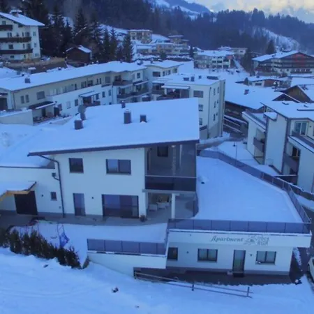 Apartment Flat In Near The Area Fügen